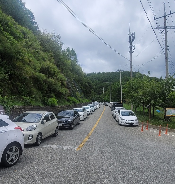 하이원 워터월드 주차